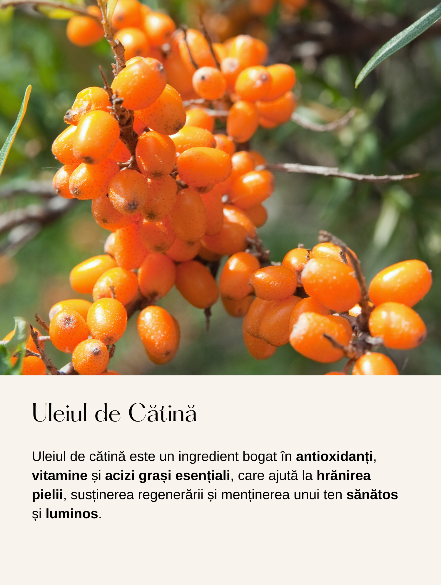 Cremă de Față pentru Pete Pigmentare cu Acid Kojic