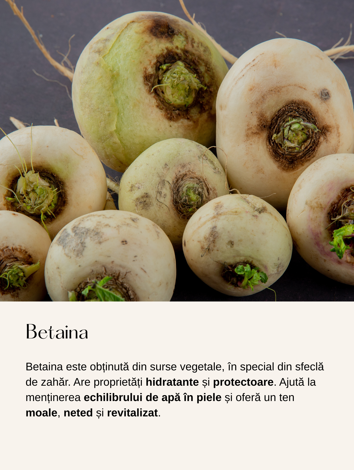 Cremă de Zi Anti-Îmbătrânire cu Ingrediente Active Marine Inovatoare si Acid Hialuronic