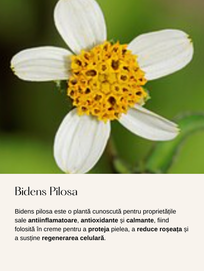 Cremă Hidratantă Alternativă la Retinol cu Extract de Bidens Pilosa