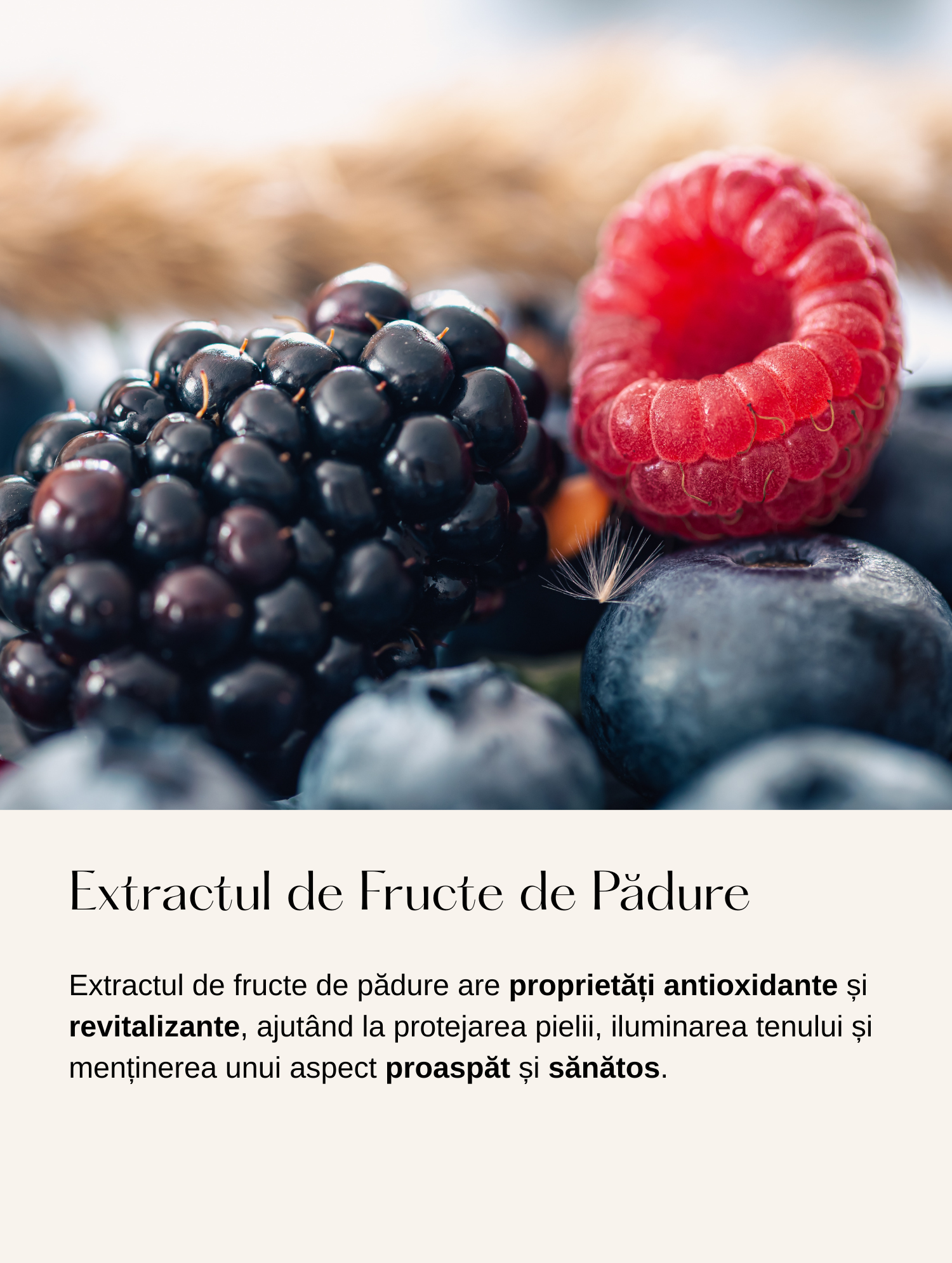 Cremă de Zi Anti-Îmbătrânire cu Ingrediente Active Marine Inovatoare si Acid Hialuronic