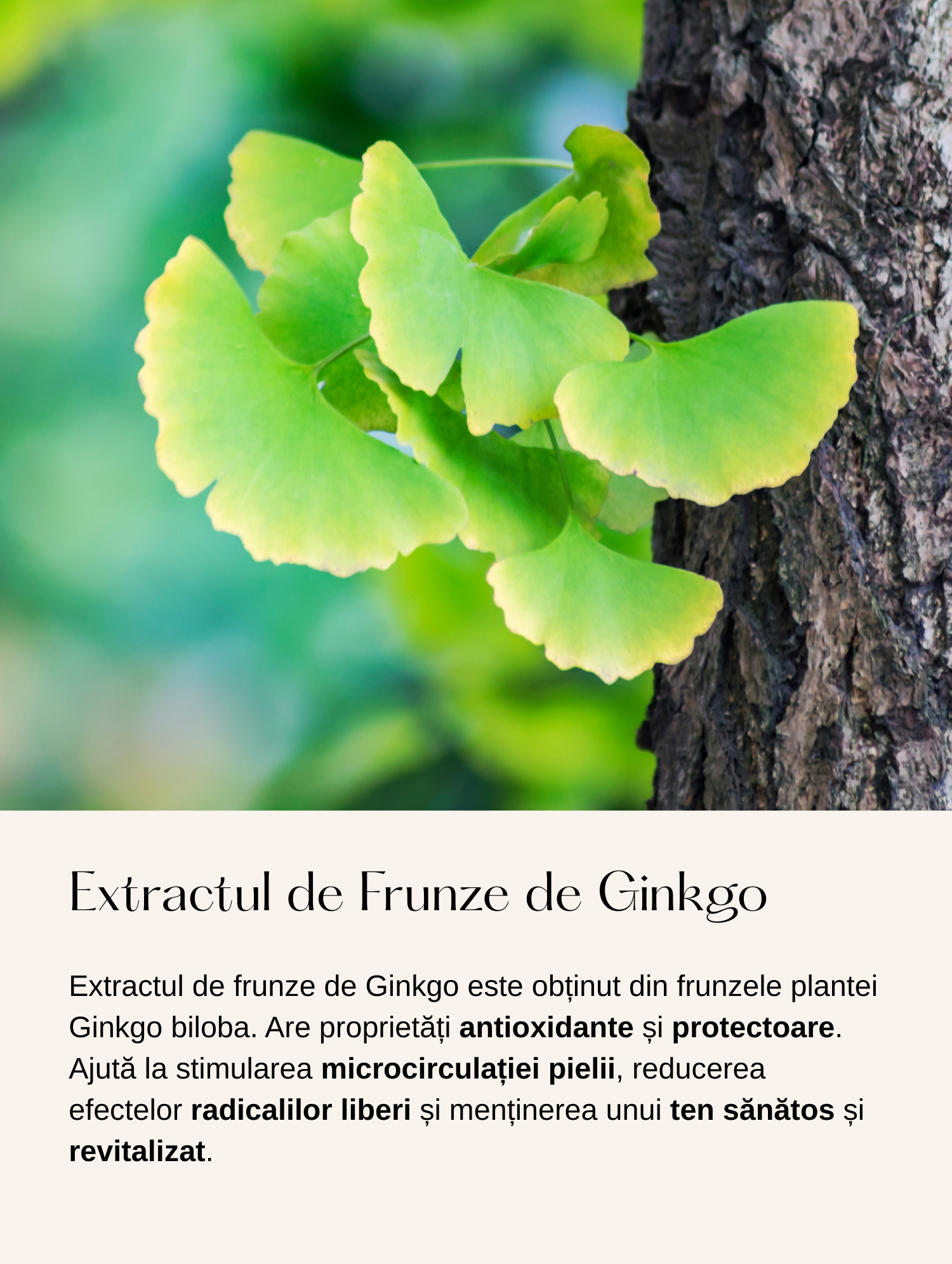 Ser Anti-Îmbătrânire cu Peptide